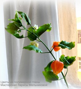 ФИЗАЛИС - 7-ми часовой мастер-класс. Создание цветка, бутона, листьев, коробочек с ягодками тонировка, сборка, обкатка стеблей.