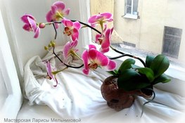 Орхидея из глины