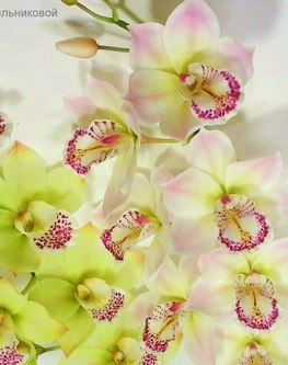 ВЕТКА ОРХИДЕИ ЦИМБИДИУМ - двухневный мастер-класс по 7 часов. Создание ветки из 6-7 цветков и трёх бутонов с проработкой мельчайших деталей, тонировкой, сборкой и обкаткой стеблей.