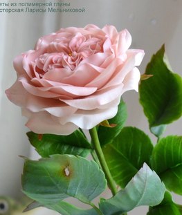 АНГЛИЙСКАЯ РОЗА(роза Остина) - двухдневный мастер-класс по 7 часов. Создание цветка и бутона, листьев, проработка деталей, тонировка, обкатка стеблей.